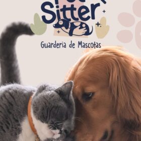 Servicio de paseo de perros 8/mes